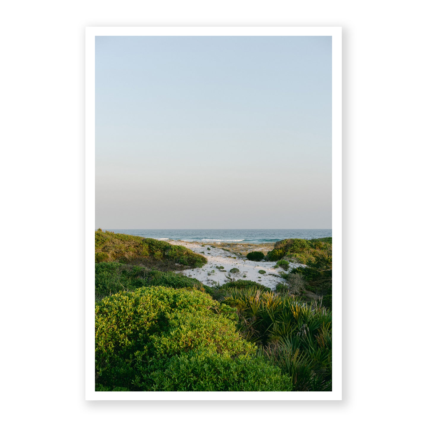 Evening Dune