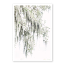 Load image into Gallery viewer, Spanish Moss 2
